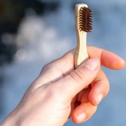 Brosse à dents de voyage biodégradable et recyclable Paos