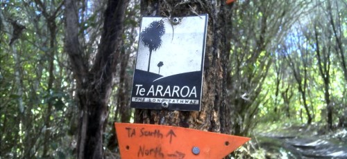 Une balise ou un panneau de signalisation du Te Araroa Trek est relativement facile à repérer.